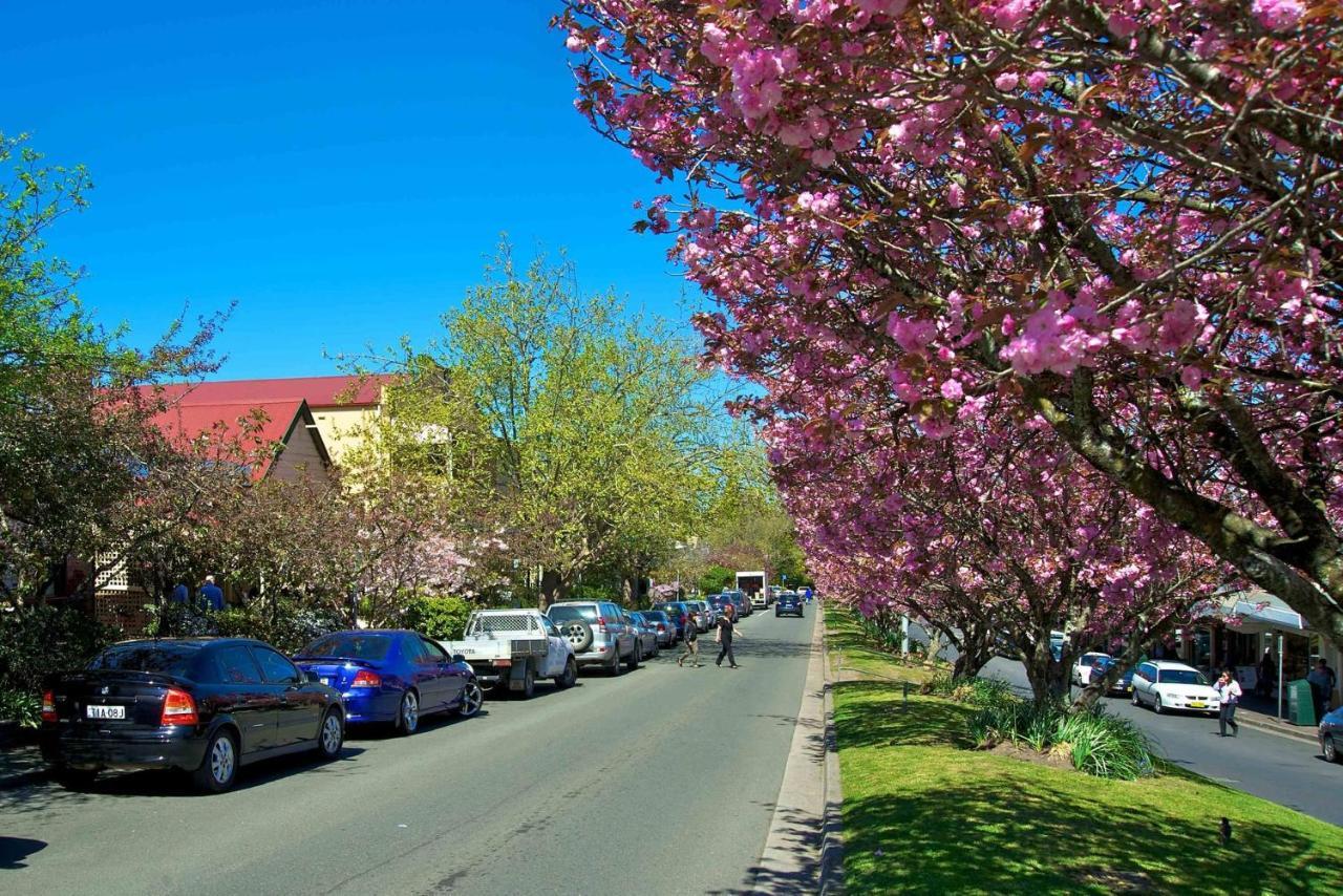 Lavender Cottage Leura Bagian luar foto